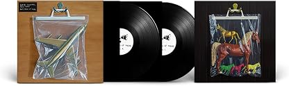 Ants From Up There [Disco de Vinil] por New Road Black Country, capa do álbum