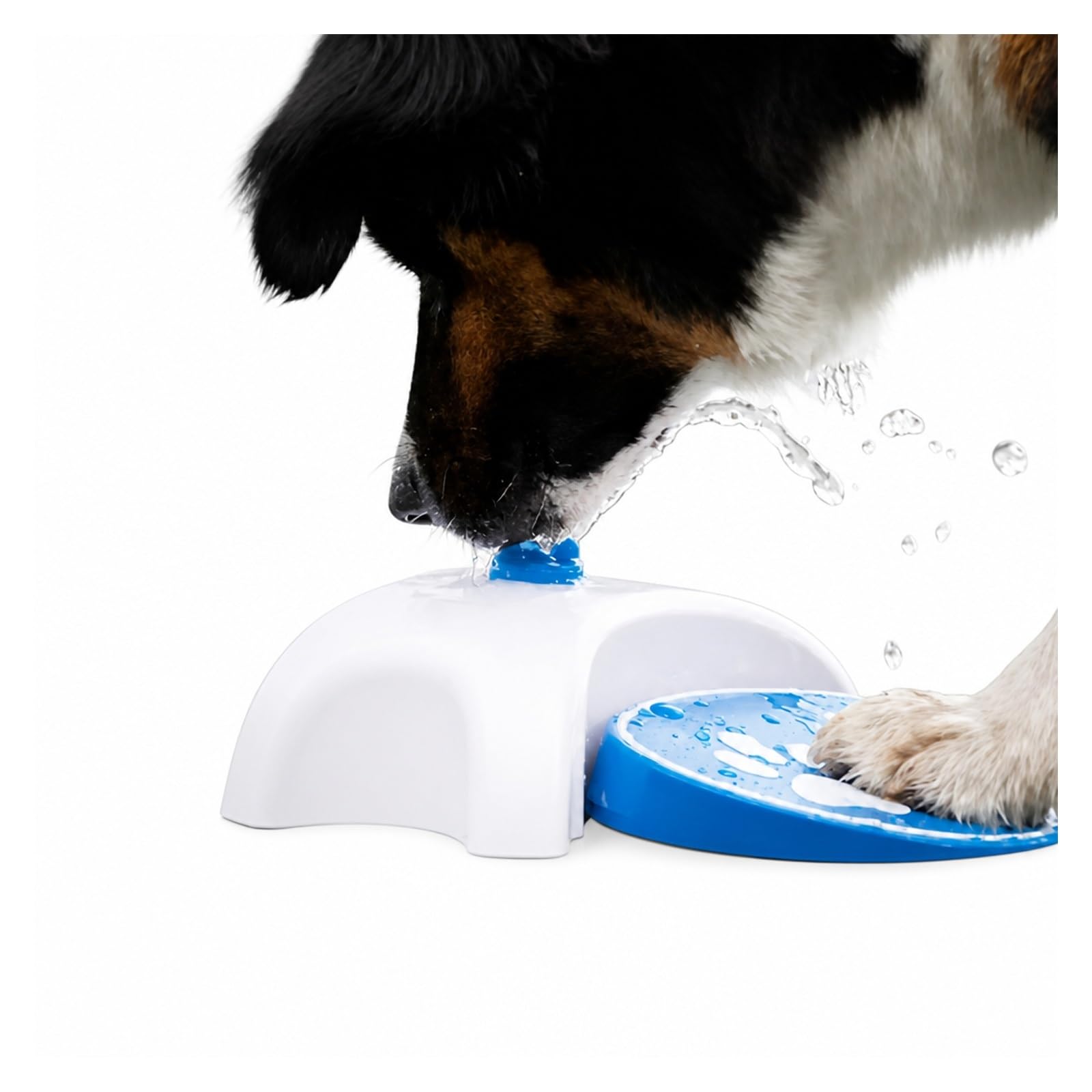 Fuente de Agua para Mascotas, Fuente De Agua para Perros con Manguera 162 Cm