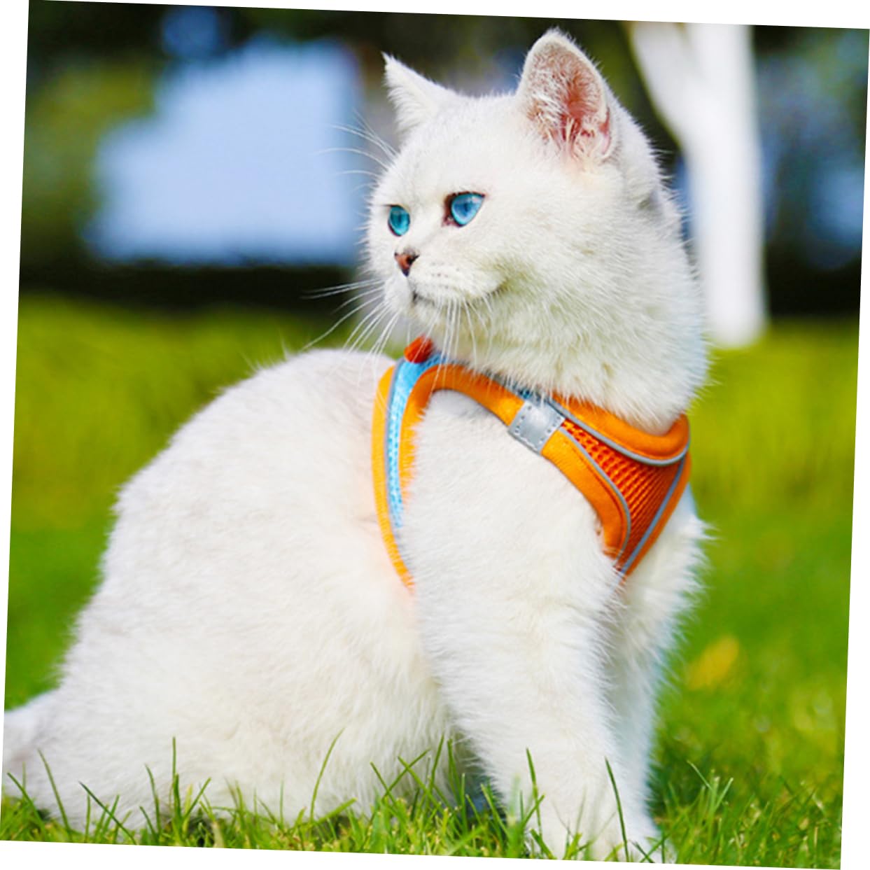 GRIRIW Versatile Pet Vest Leash Cat Leash Dog Vest Daily Wear Harness Festival Decor Fashion Outfit