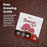 Grow Buddha Bonsai Soil compost food fertiliser medium Bonsai soil compost - Image 5