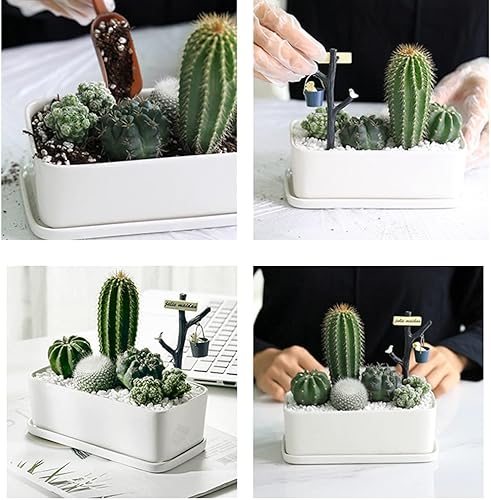 Miniatura 3 de Avalution Suculentas de grava blanca de 0.236 a 0.315 pulgadas y cactus bonsái, proyectos de bricolaje, rocas, plantas de ónix blanco, rocas para