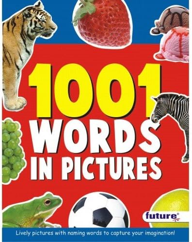 1001 Words in Picture Paperback โ Picture Book, 1 January 2015