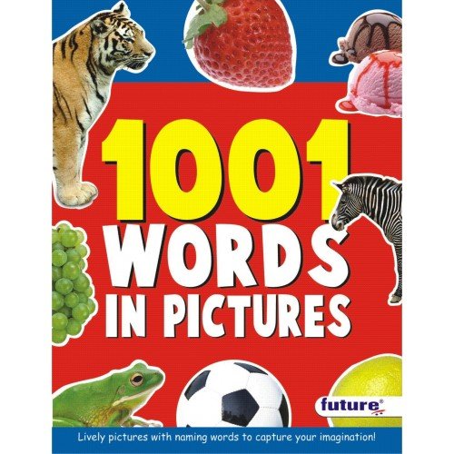 1001 Words in Picture Paperback – Picture Book, 1 January 2015