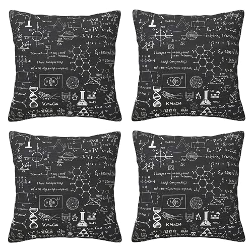 Housse de coussin BAFAFA pour rajeunir un canapé fatigué