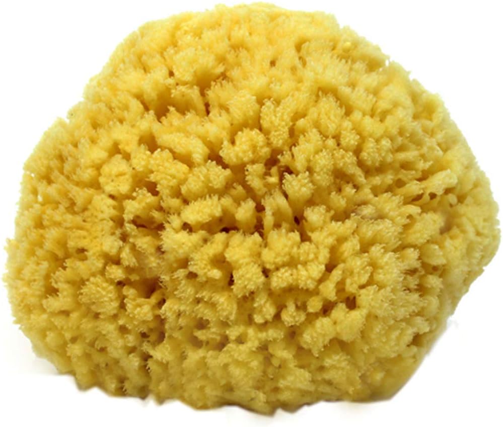 Natural Sea Sponge Small 4-5" by Spa Destinations®Creating The Perfect Bath and Shower Experience Amazing Natural Renewable Resource!