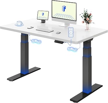 FLEXISPOT Electric Standing Desk BIG MAX 200KG Height Adjustable