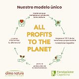 Ver la foto 6