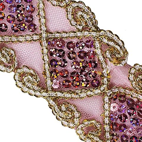 Sequins Lace Mesh Trim Lace Ribbon Applique Sewing Craft Supplies for Clothing Curtain Table Runner Making Decoration 10 Yards (hot pink) Cover