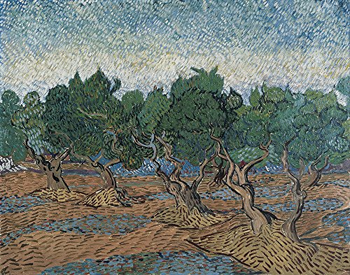 Vincent Van Gogh Olive Grove tableau extra large décoration murale - 2