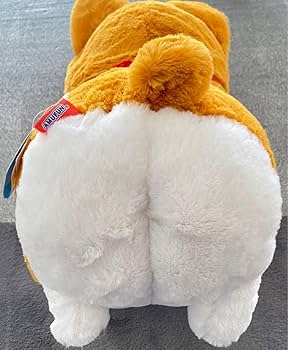 いち！にの！コーギー ただいま むぎちゃん JB いち！にの！コーギー