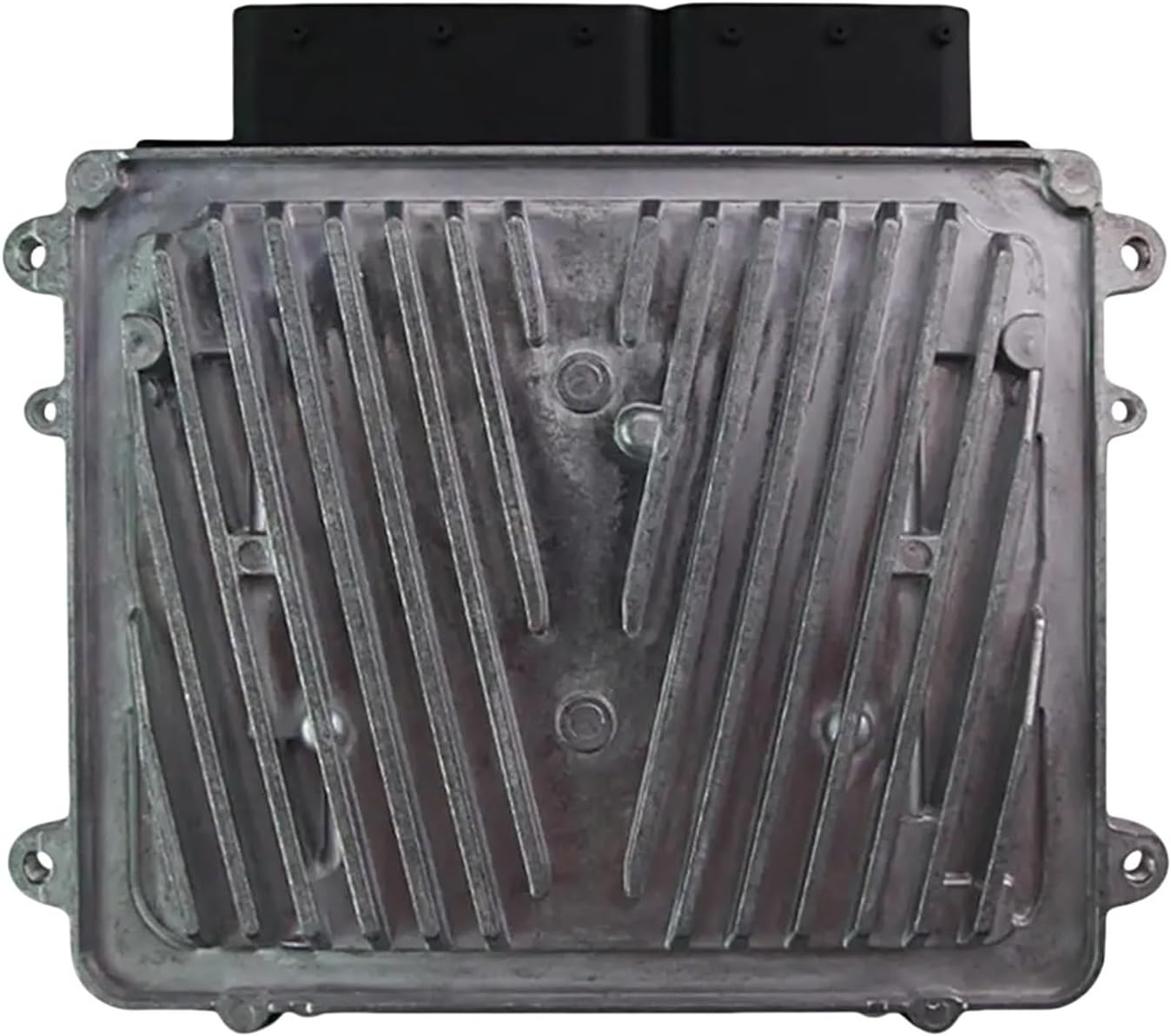 クローシスジャオウガ(ゴツンマ、オニカマス 単騎なし)