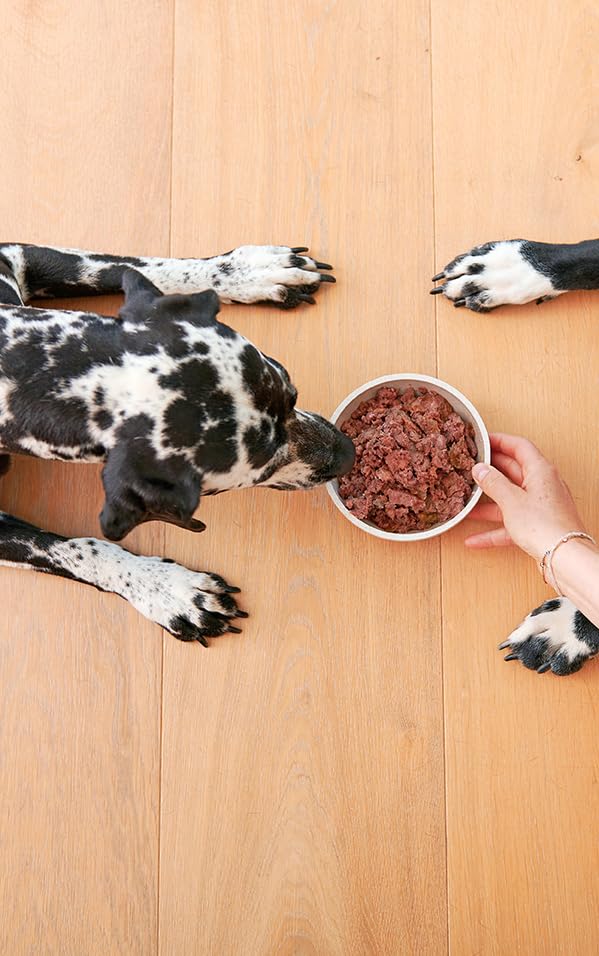 PRIMOX® Fleischmecker Hunde-Nassfutter | Getreidefrei | 70% Fleisch & Innereien | Made in Germany & 100% Natürlich | Omega-3 für Haut & Fell | Gluten- & Laktosefrei (Pferd, 6x400 g)