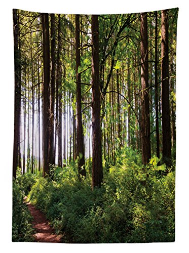 Ambesonne Forest Outdoor Tablecloth, Pathway In A Shady Forest Of Bushes And Thick Trunks Grass Unique Wild Life Scenery, Decorative Washable Picnic Table Cloth, 58" X 84", Green Brown #TOP1