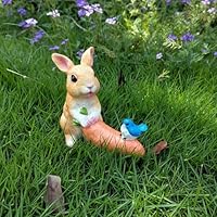 水差し うさぎ にんじん ラビット 水差し うさぎ にんじん ラビット