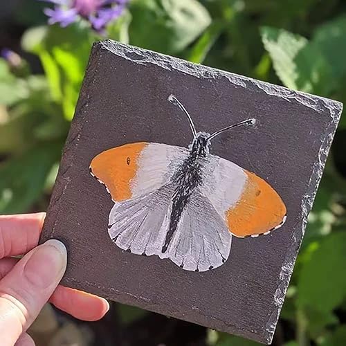 Vista 5 de Paquete de 24 portavasos cuadrados de piedra de pizarra negra de 4 x 4 pulgadas para bebidas, bar, cocina, hogar, hecho a mano, borde natural