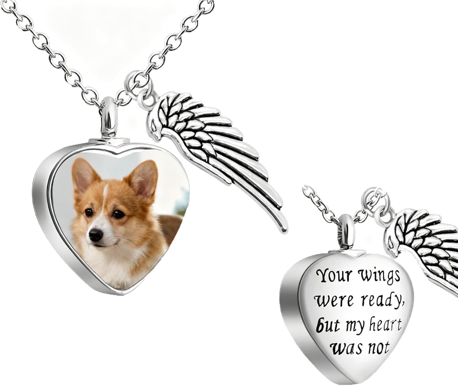Custom Pet Ashes Necklace Personalized Memorial Urn Necklace for Ashes, Custom Cat Dog Ash Holder with Photo & Name, Silver Keepsake Jewelry Gift for Pet Loss