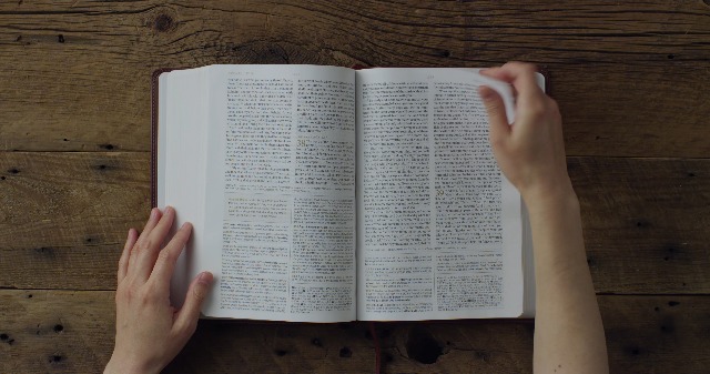 Image of ESV Women's Study Bible (TruTone, Chestnut, Almond Tree Design): Holy Bible, English Standard Version
