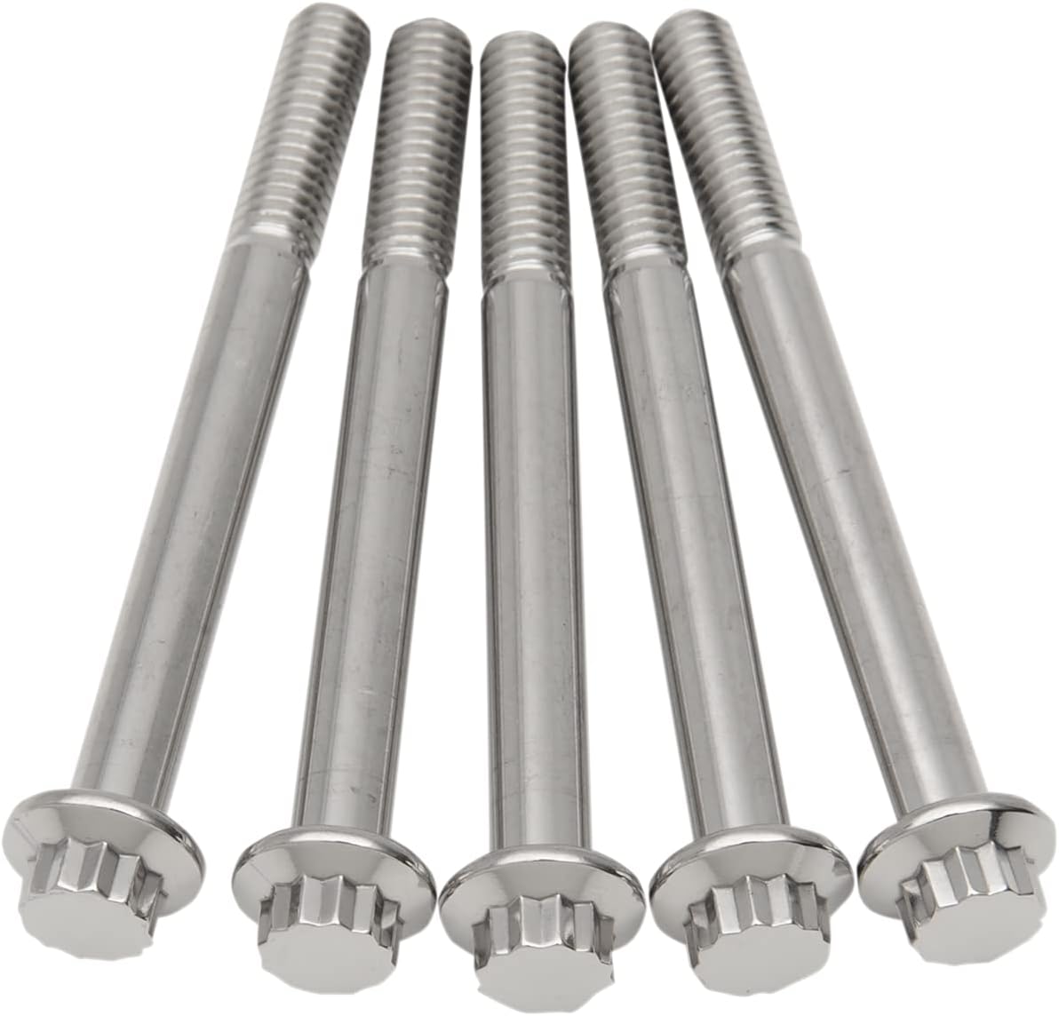 Diamond Engineering TC0532HP-5 12-Point Stainless Steel Coarse Thread Bolt Refill Packs - 5/16in.-18 x 3 1/4in.