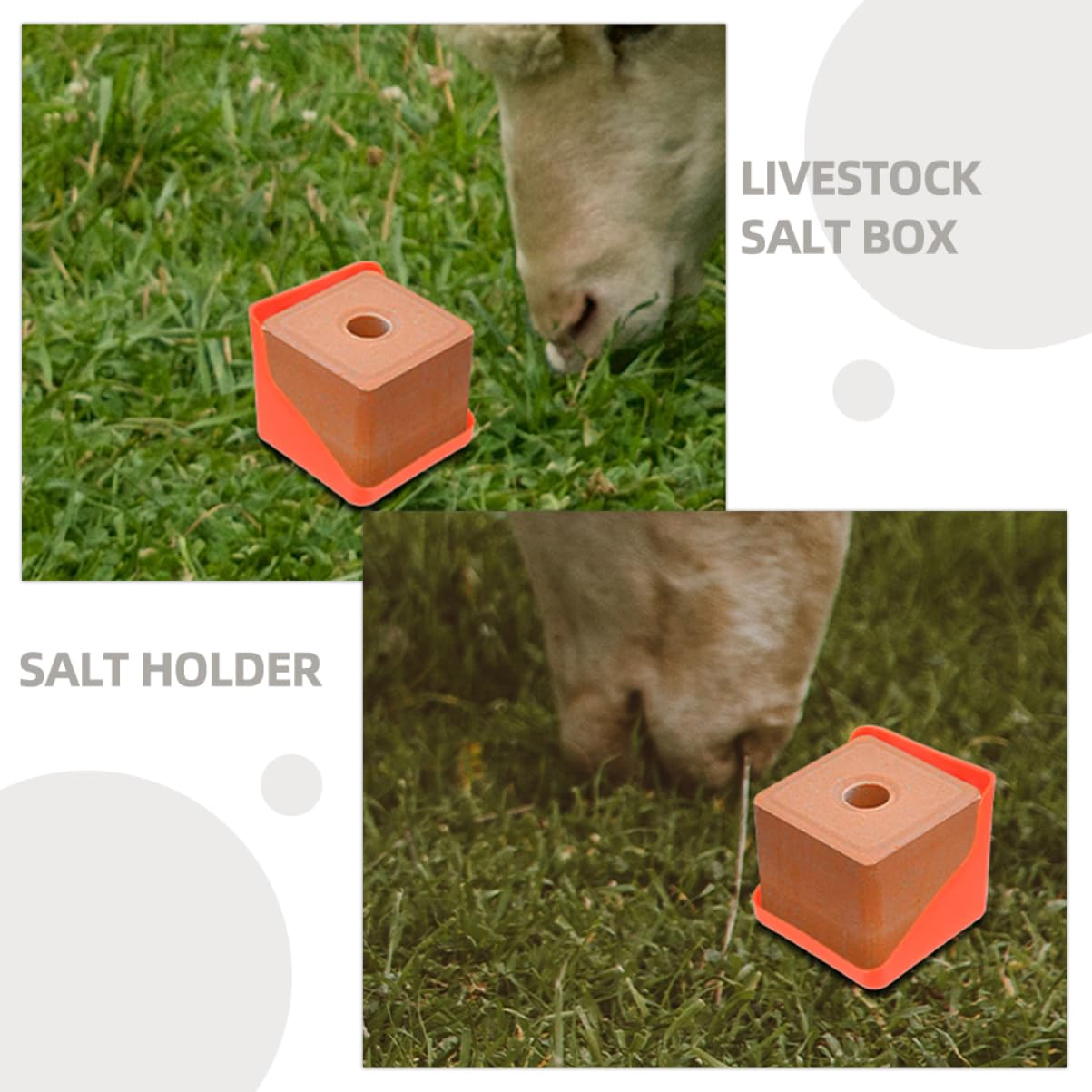 Comedero para Ganado y Ovejas, Soporte Rojo de Plástico 3 Piezas | Uso Interior y Exterior, Diseño Práctico y Desmontable, Formato para Bloques Minerales y Forraje Mineralizado