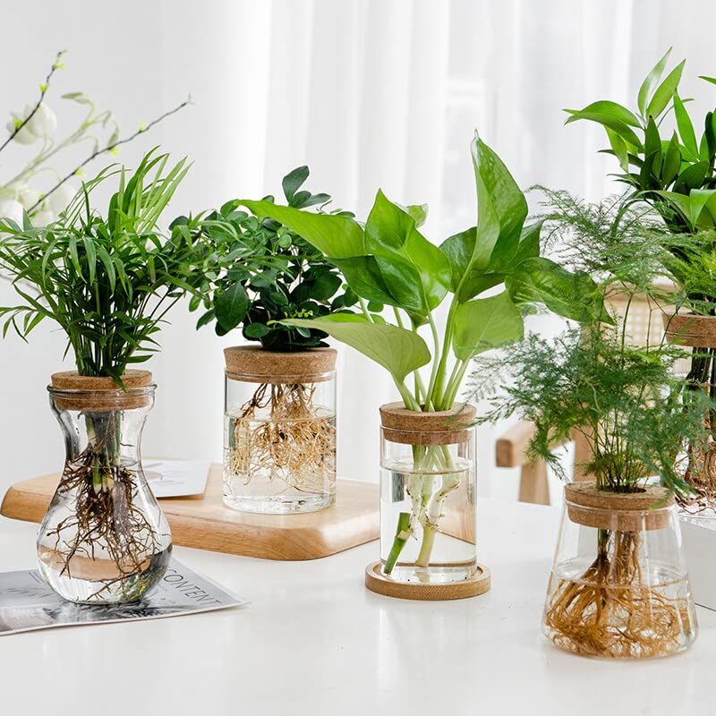 Generic Eenvoudige En Creatieve Transparante Glazen Vaas, 4 Stijlen Bloemstuk Vaas Office Studio Desktop Vaas Hydroponische Plantenfles Gemakkelijk Te Gebruiken D 1 Ca3 B