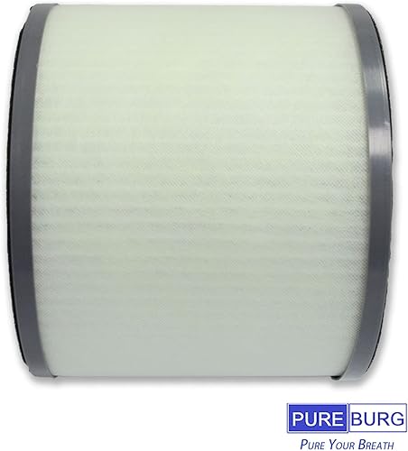Miniatura 4 de PUREBURG Filtro de repuesto compatible con el purificador de aire Dreamegg TR-8080, paquete de 2 compuestos orgánicos volátiles de carbón activado