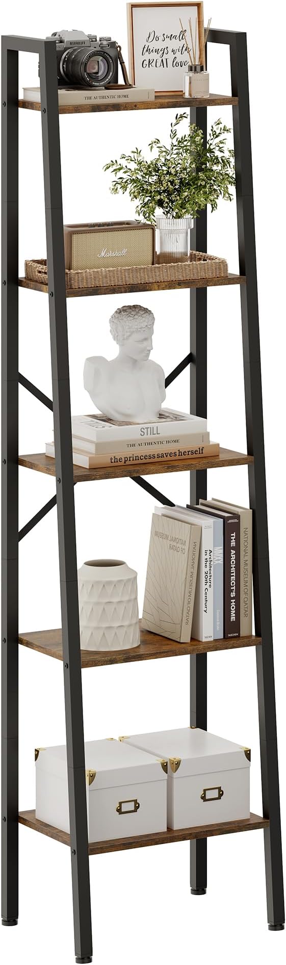 Ladder Bookshelf