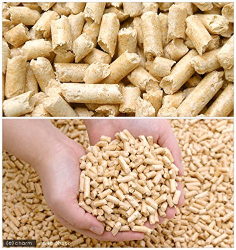 Amazon | パインの木の上で 6リットル ×4袋 パインウッド うさぎ 床材