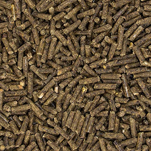 SPEED MOBILITY boost, 1.500 g, Ergänzungsfutter für den Bewegungsapparat von Pferden, unterstützt die Gelenke, Power-Rezept mit MSM und Hyaluron, getreidefrei
