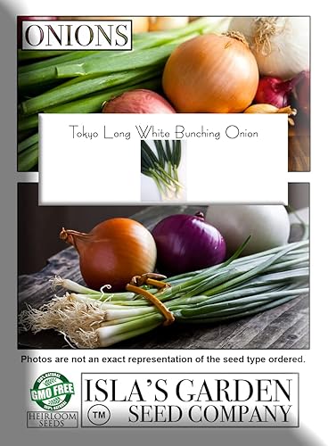 Miniatura 6 de Semillas de cebolla blanca larga de Tokio para plantar, más de 300 semillas tradicionales por paquete, semillas de jardín de Isla (semillas de