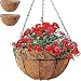 Gray Bunny Metal Hanging Planter Basket with Coco Liner, 2 Pack, 14 in Diameter, Hanging Flower Pot, Round Wire Plant Holder, Watering Basket, Chain Porch Decor, for Lawn, Patio, Garden, Deck