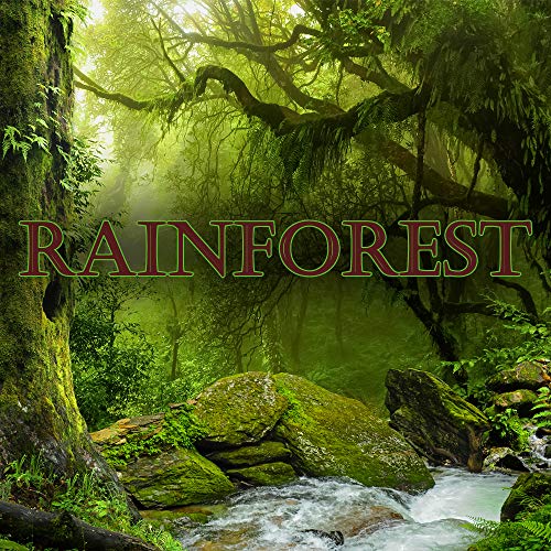 Froggy's Fog - Scented Cologne Spray (2 oz. Rain Forest)