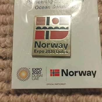 ドバイ万博アメリカピンバッジ ドバイ万博 ピンバッジ 2個セット - メルカリ