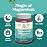 Sugar Free Magnesium Gummies for Adults - Vegan Chewable Magnesium Citrate Gummies with 180mg Elemental - Relaxing Gummy Non GMO Halal and Gluten Free Berry Flavor (2 Months)
