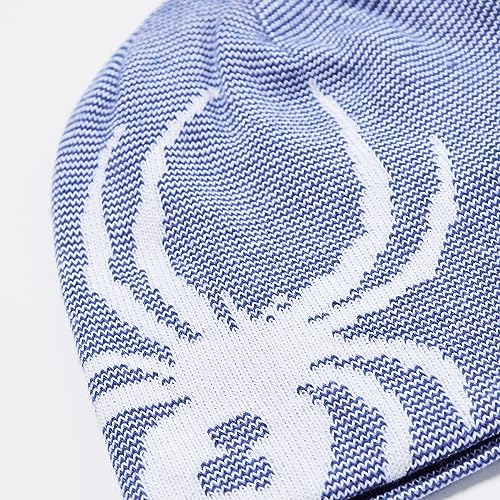 Image of Spyder Boy's Youth Reversible Bug Ski Beanie