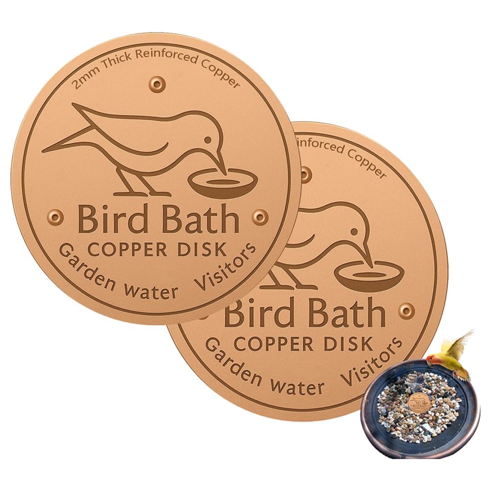 Disco de purificación de baño para pájaros hecho de cobre duradero y elegante