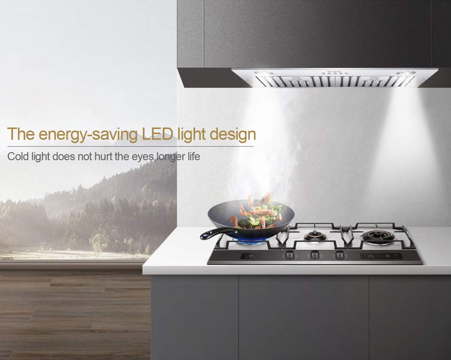 Range Hood Insert 30 Inch,Vent Hood Insert,Ducted/Ductless Convertible