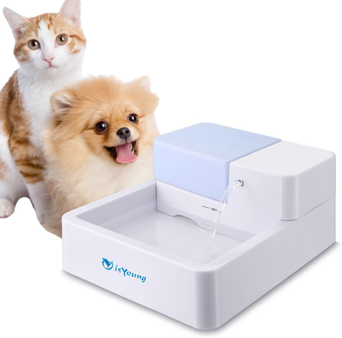 isYoung Cat Water Dispenser, Pet Fountain Ultra Quiet Drinking for Cats