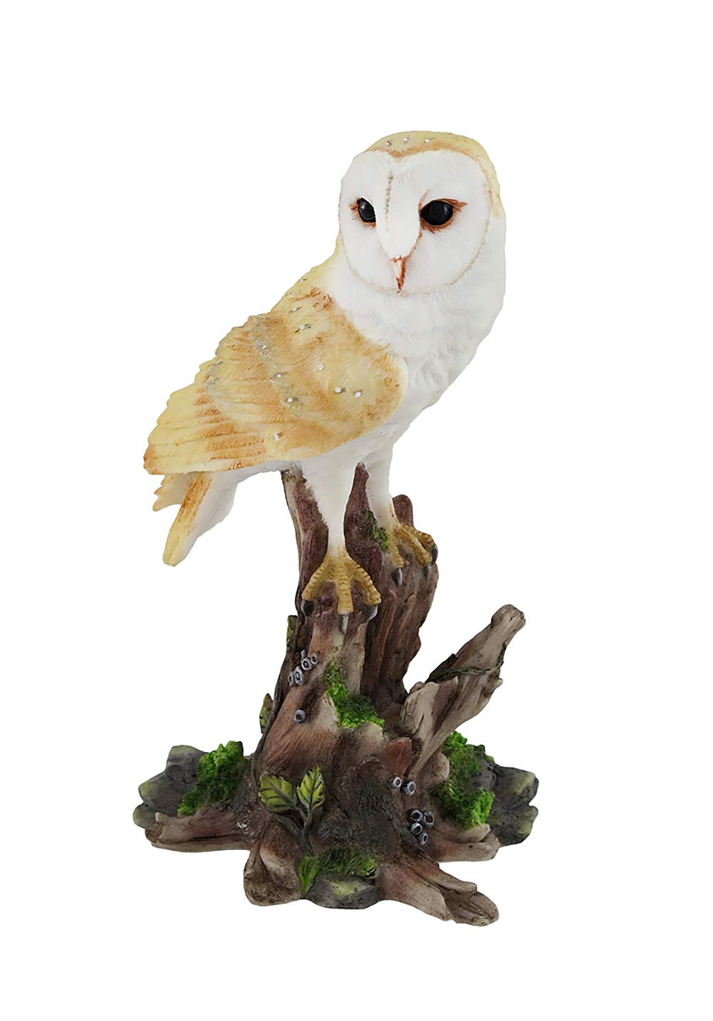 置物 59. The magnificent barn owl hand-painte Amazon.com: Veronese Design Majestic Barn Owl on Vibrant Tree