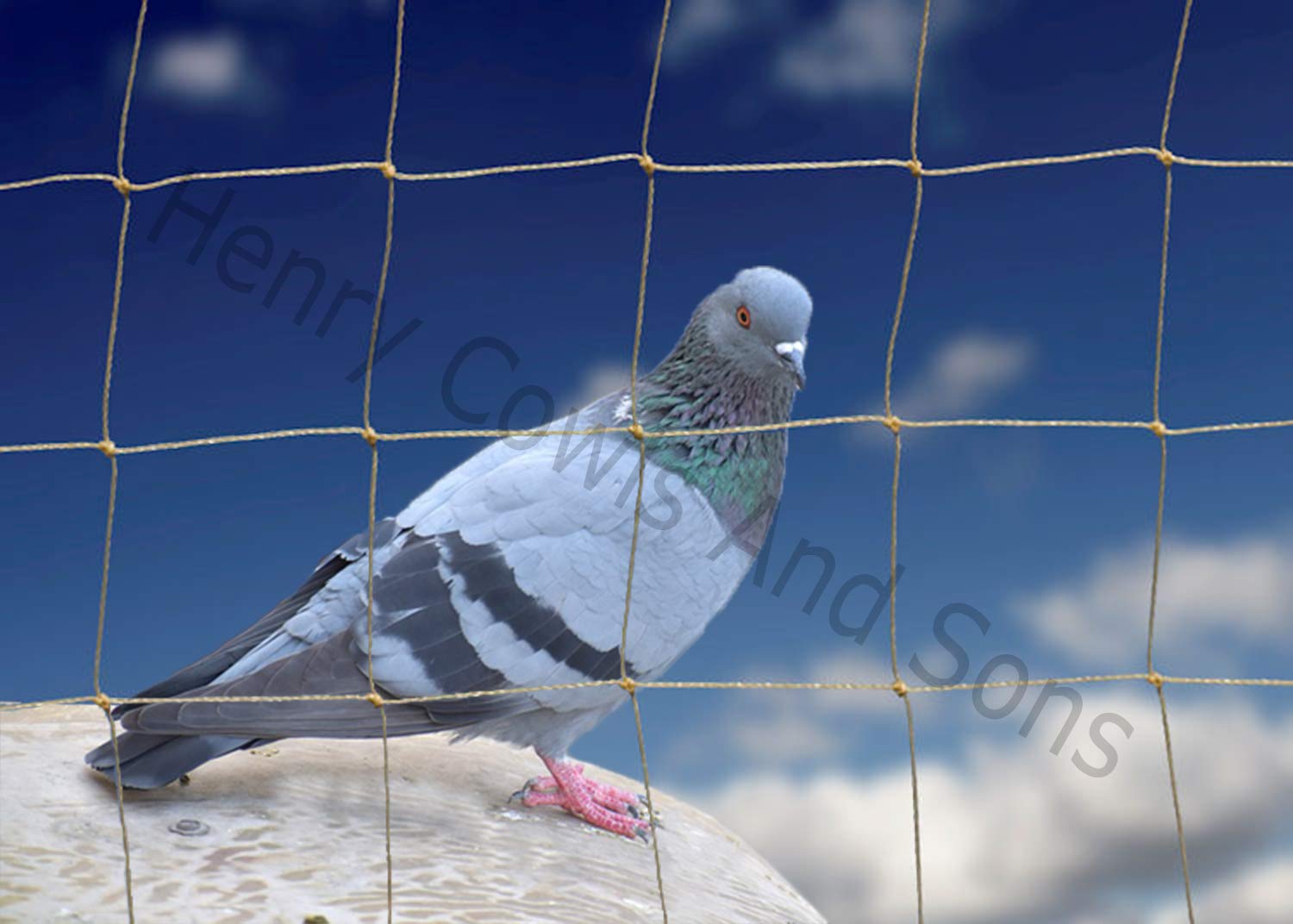 Anti Bird Netting For the Garden 5m x 15m 50mm 2" Anti Pigeon Knotted Mesh Heavy Duty Stone Net Protection