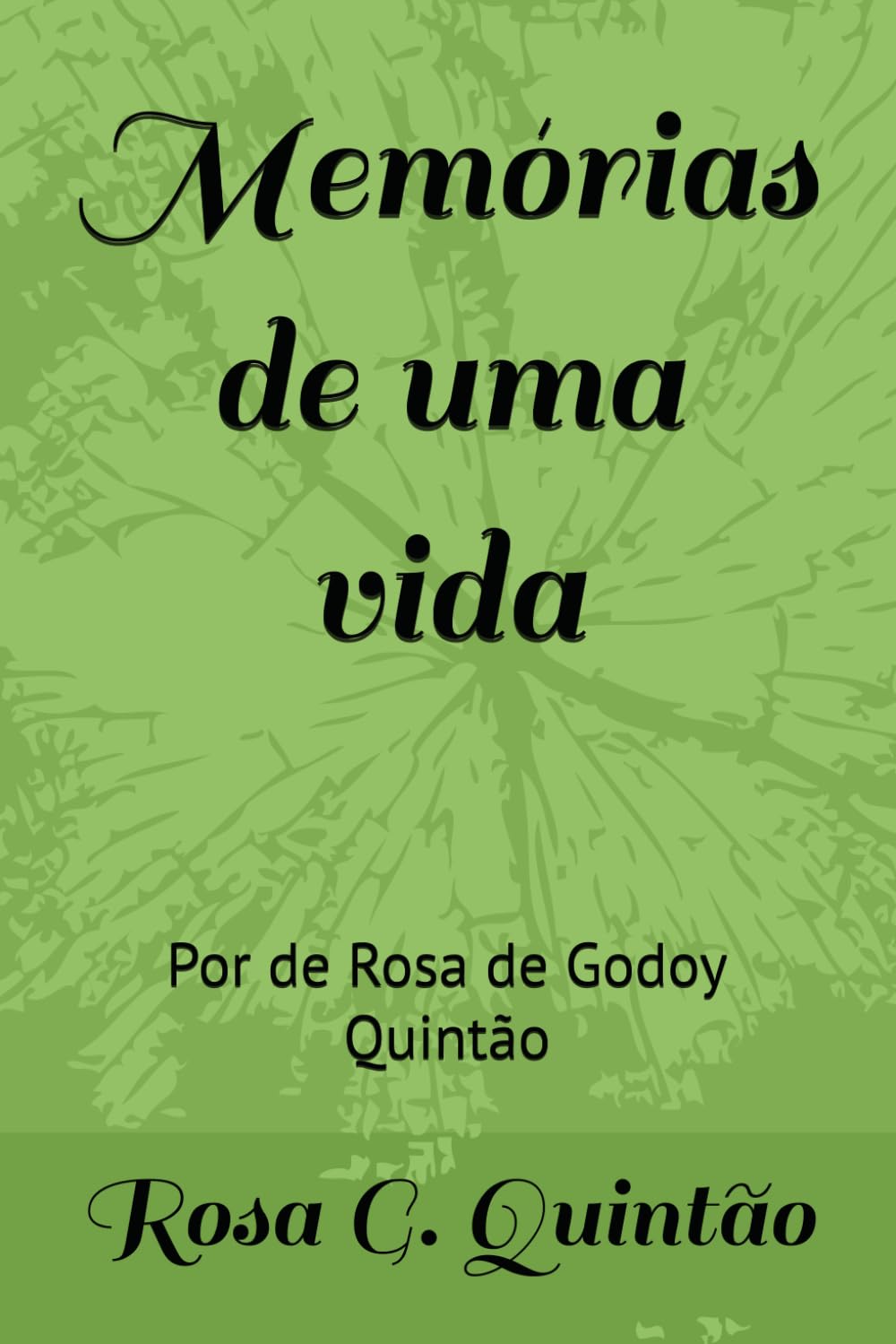 Memórias de uma vida: Por de Rosa de Godoy Quintão