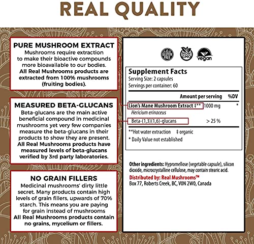 Lions Mane (120Ct) And Cordyceps (120Ct) Capsules Bundle - Mushroom Supplement For Cognition, Energy And Endurance #TOP2