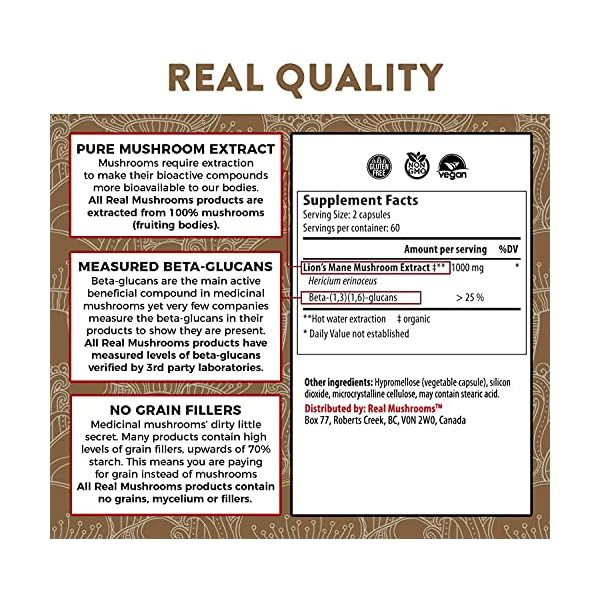 Lions Mane Mushroom Cognition Capsules (120 Capsules) Lions Mane Mushroom Powder Extract Capsules | Brain Supplement, Brain Vitamins, Focus Supplement