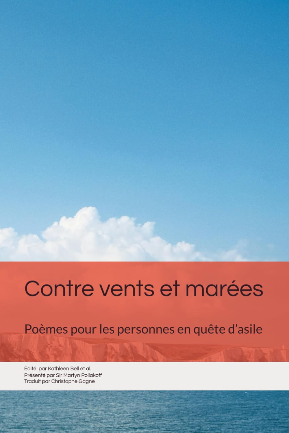 Contre vents et marées: Poèmes pour les personnes en quête d’asile (Journeys in Translation)