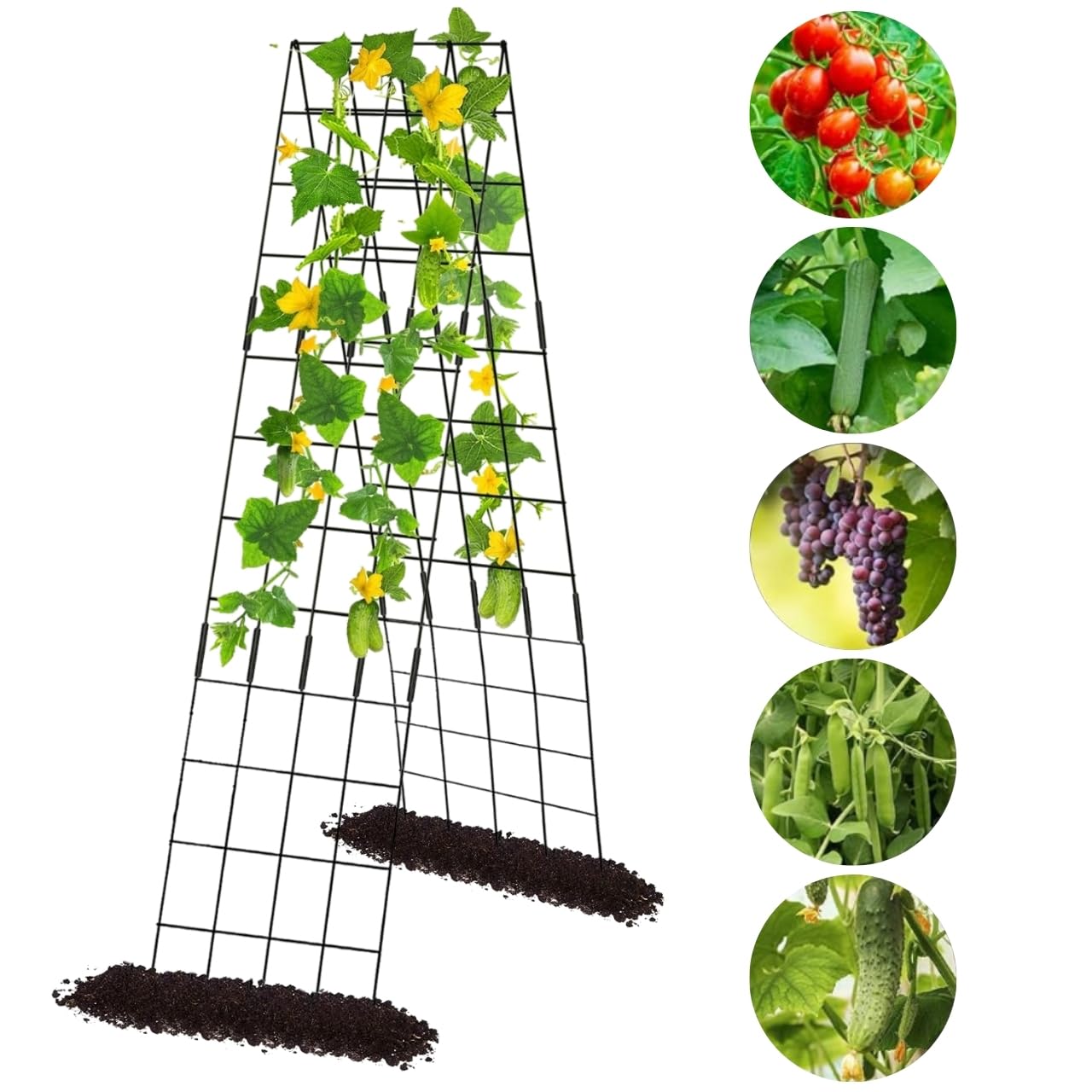 ecofynd Foldable A-Frame Garden Trellis for Climbing Plants Outdoor, Potted Plant Support for Vegetable, Vines & Flowers, Rustproof Coated Cucumber, Tomato, Zucchini Cage Tower (TR015, Pack of 1)