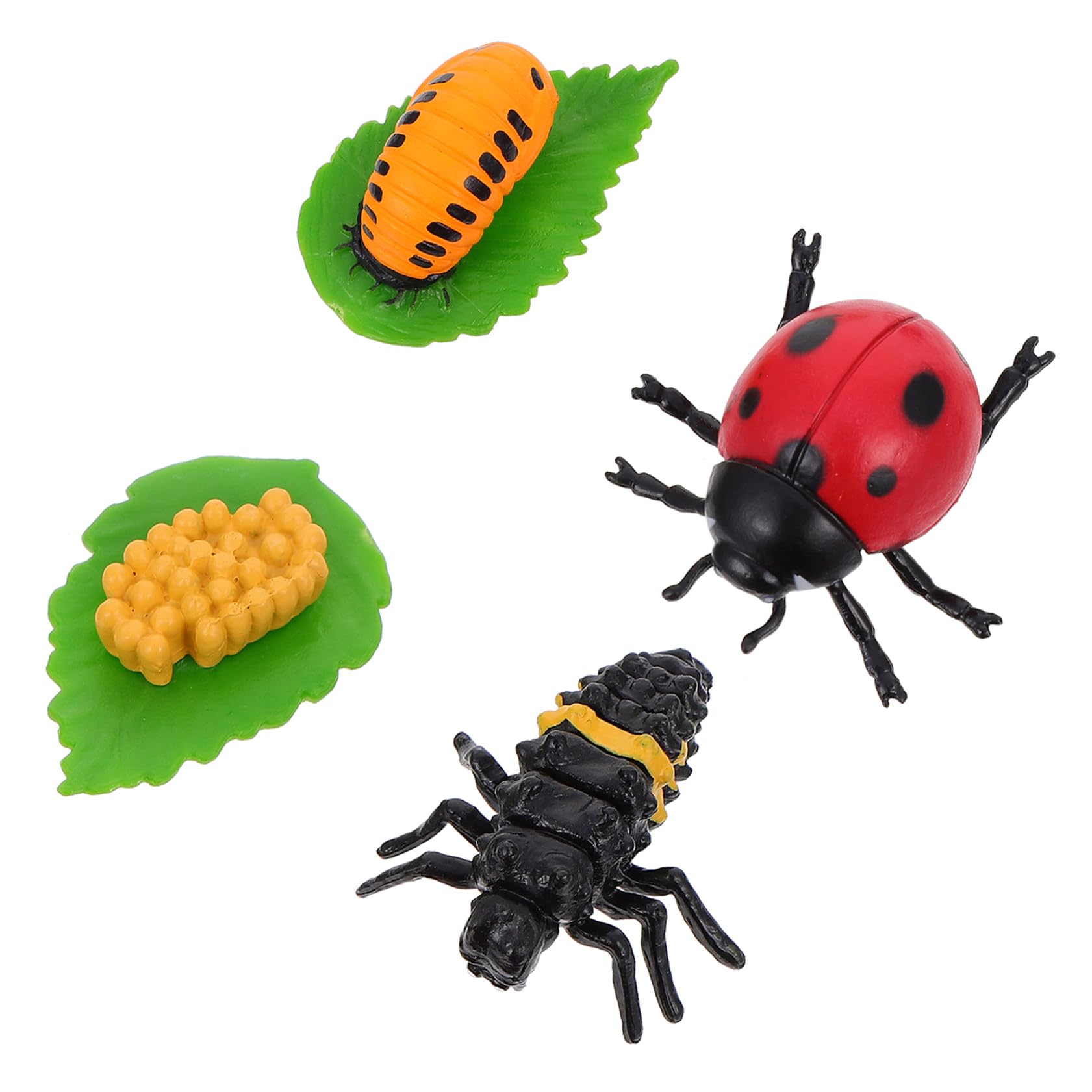 ifundom 4pcs Ladybug Life Cycle Ornaments Seven-Spot Ladybird Growth Model for Boys and Girls Kids Plaything Collection Decor