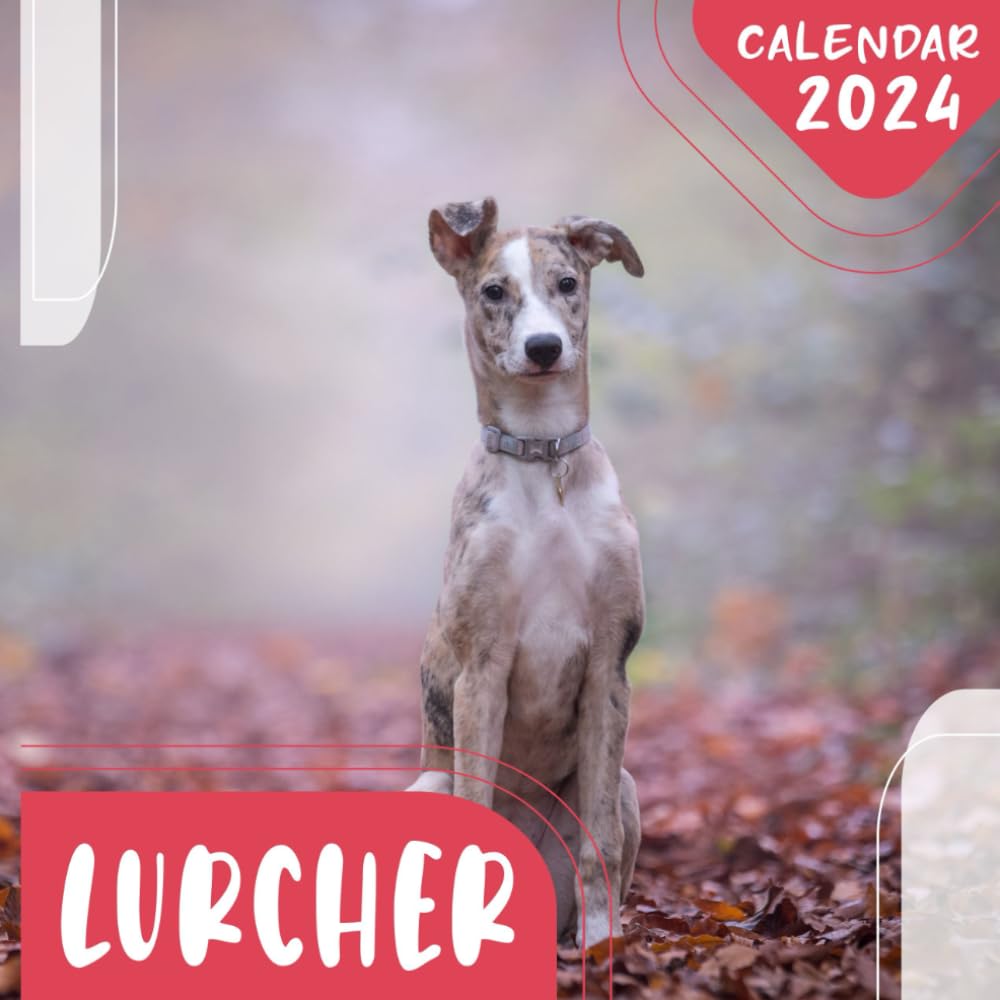 lurcher Calendar 2024: 12-Month Calendar, January to December, 8.5 x 8.