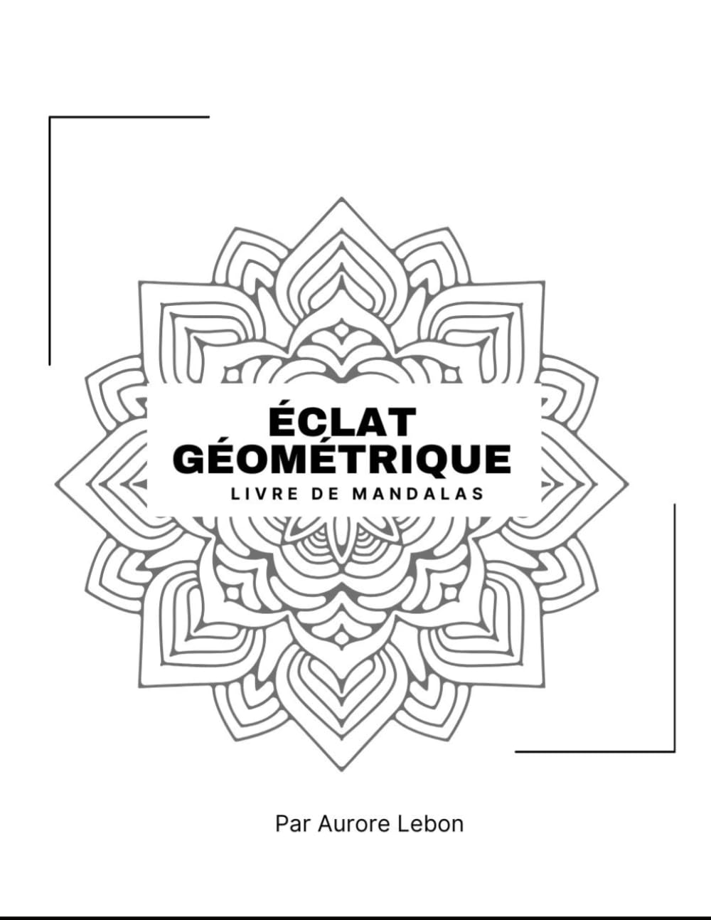 Eclat géométrique par A.L.