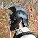 AnNafi® Maximus Gladiator Helmet Men Roman Headgear Blackened LEATHER LINER FITTED | Adult Medieval Costume | Larp Sca Party Clothing | Halloween Costumes| Christmas Gifts