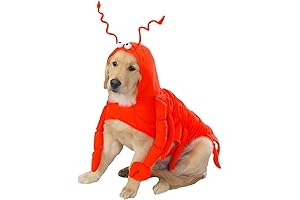 Red-Orange Lobster Paws Dog Costume