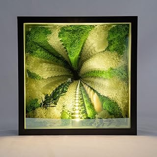 LED Infinity Mirror Light Moss, Sensory 3D Night Light for Wall Decor, Desk, Living Room, Party, Infinity Lamp Tunnel Mirrors Home Decoration